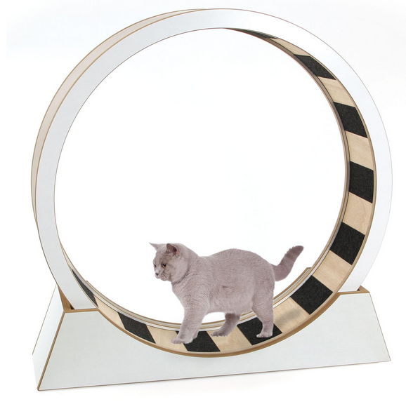 Roue à chat Monte Vigo blanc