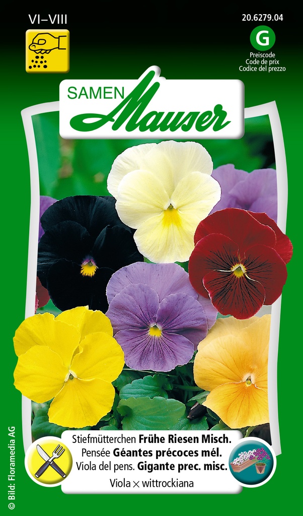 Pensée Géantes précoces mélange