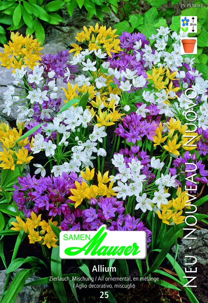 Allium nain mélange 25