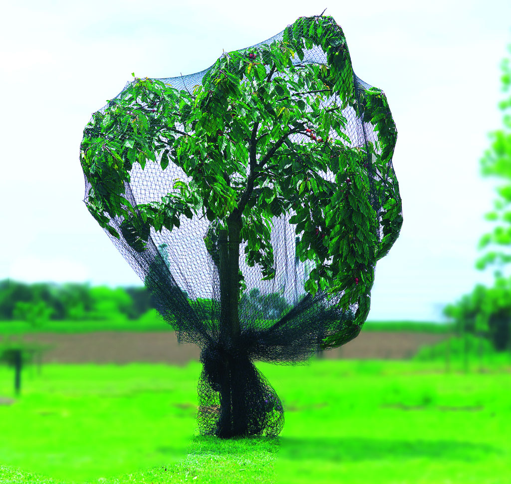 PRONET Filet de protection oiseaux renforcé
