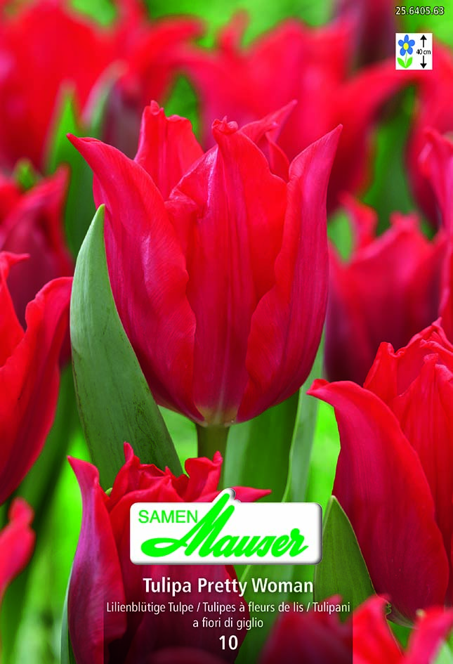 Tulipe TL Pretty Woman 10