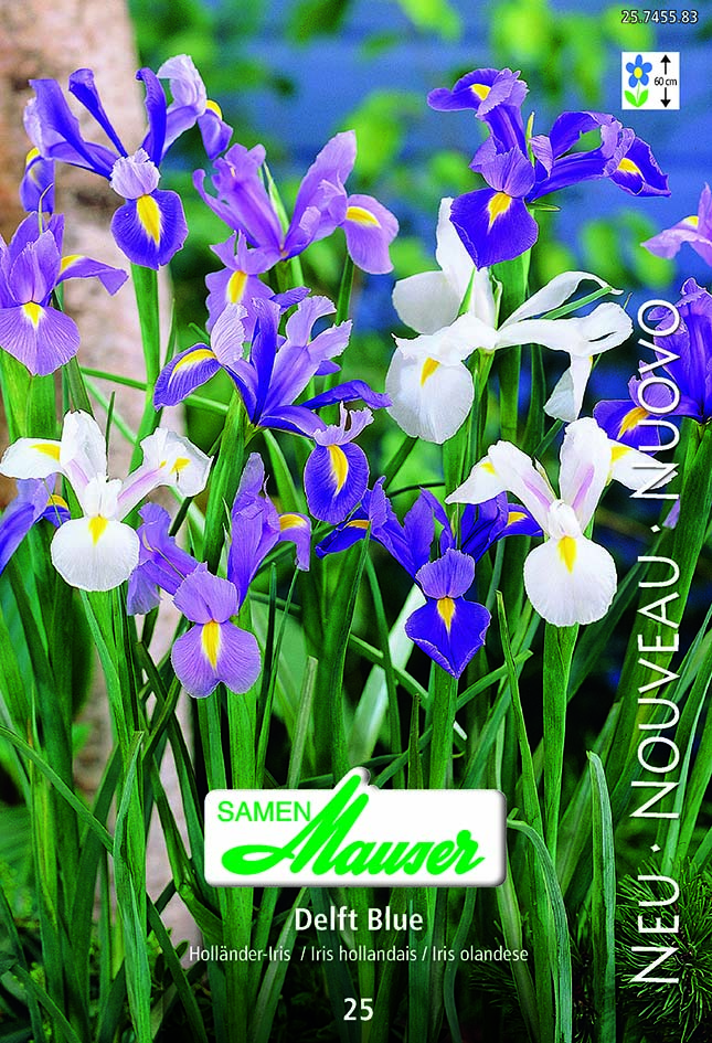 Iris hol Delft Blue 25