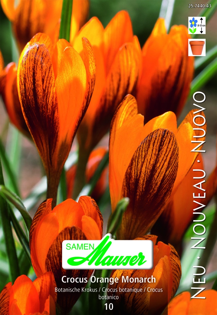 Croc chr Orange Monarch  10 (7/)