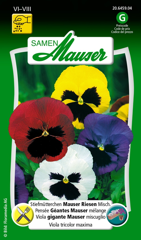 Pensée Géantes Mauser mélange