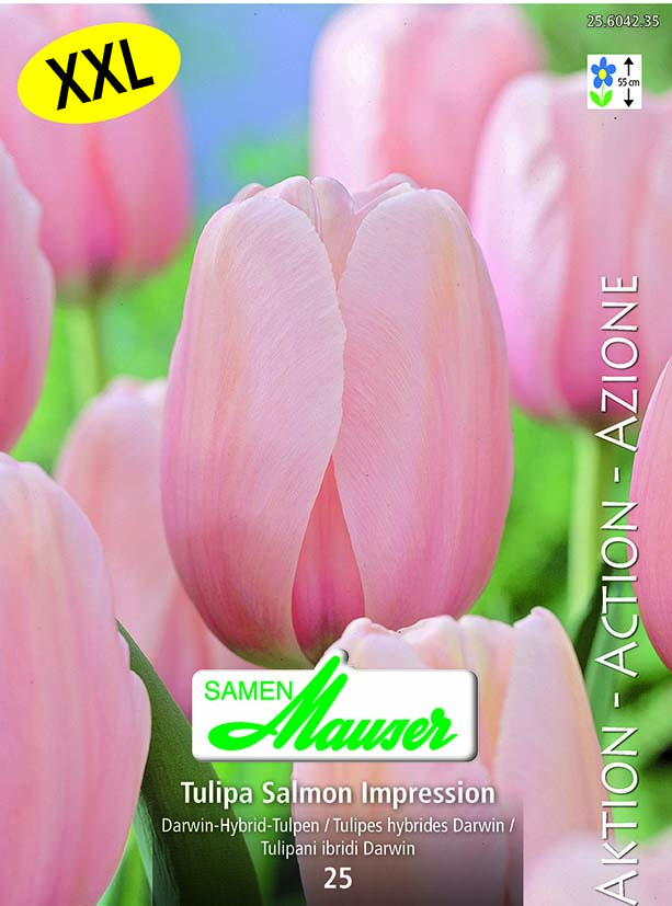 Tulipe THD Salmon Impression 25