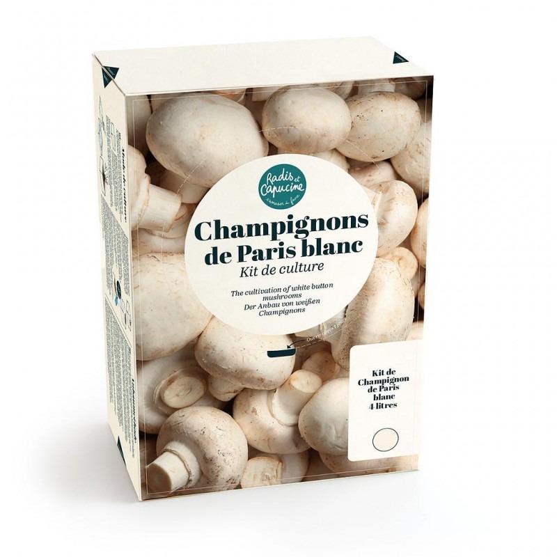 Champignon de Paris Blanc 4 L