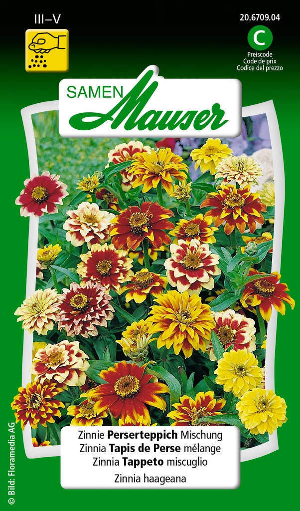 Zinnia haag tapis de Perse