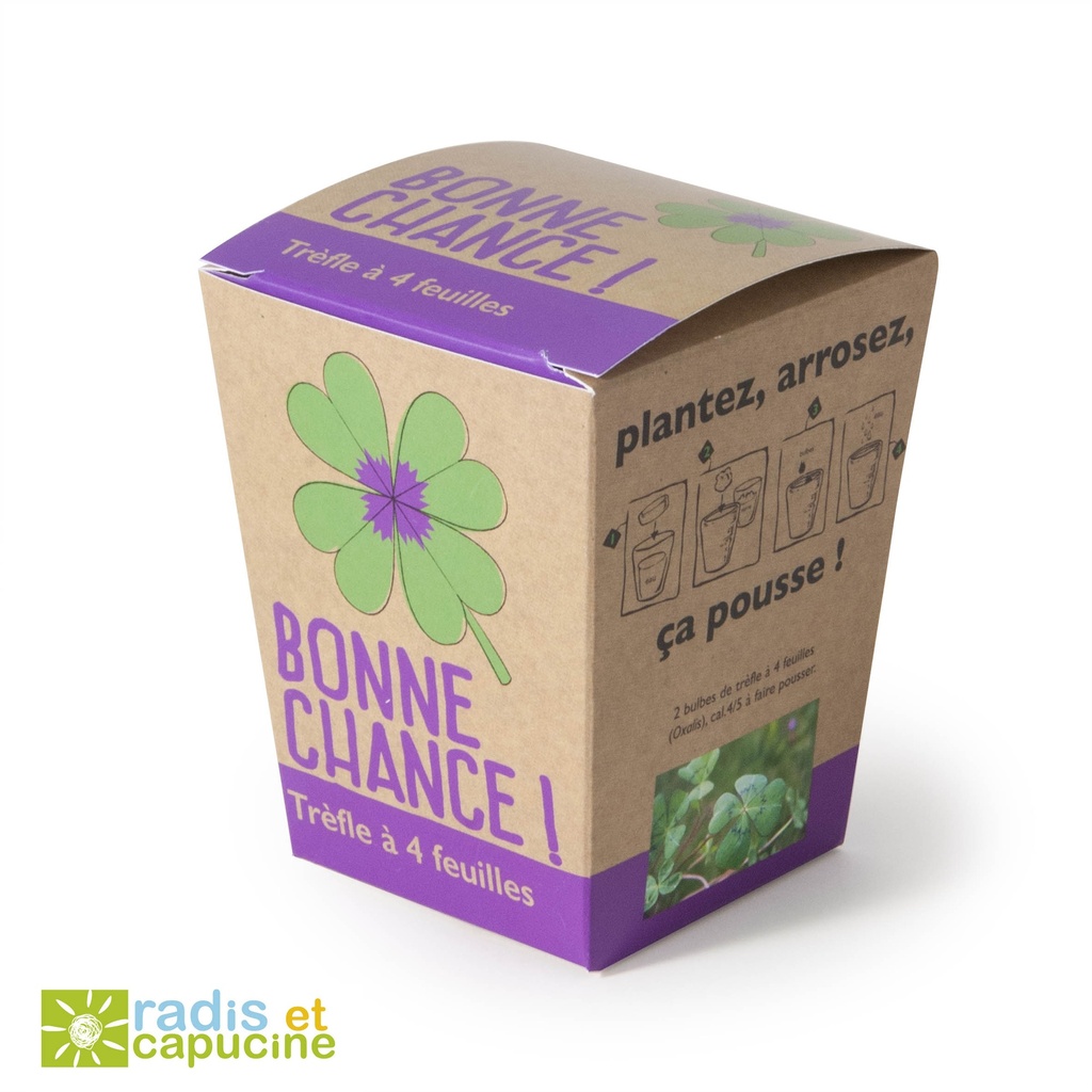 Kit  Bonne chance  - trèfles à 4 feuilles