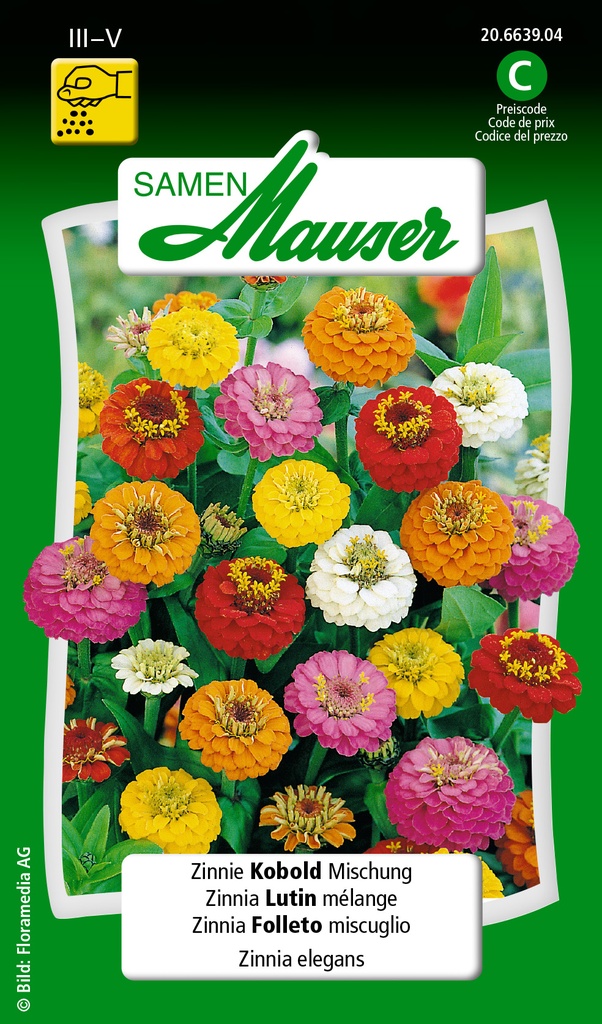 Zinnia lutin mélange