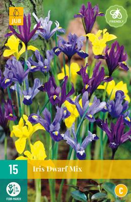Iris dwarf mix