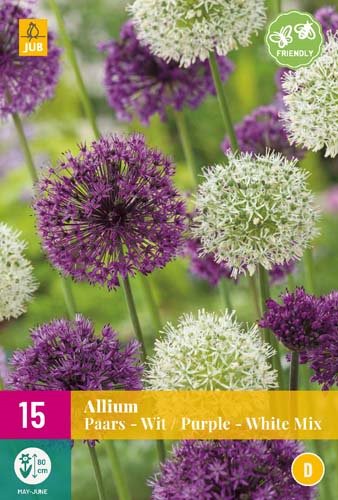 Allium paars-wit / purple-white