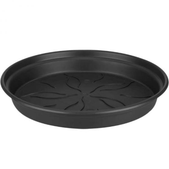 green basics soucoupe 25cm