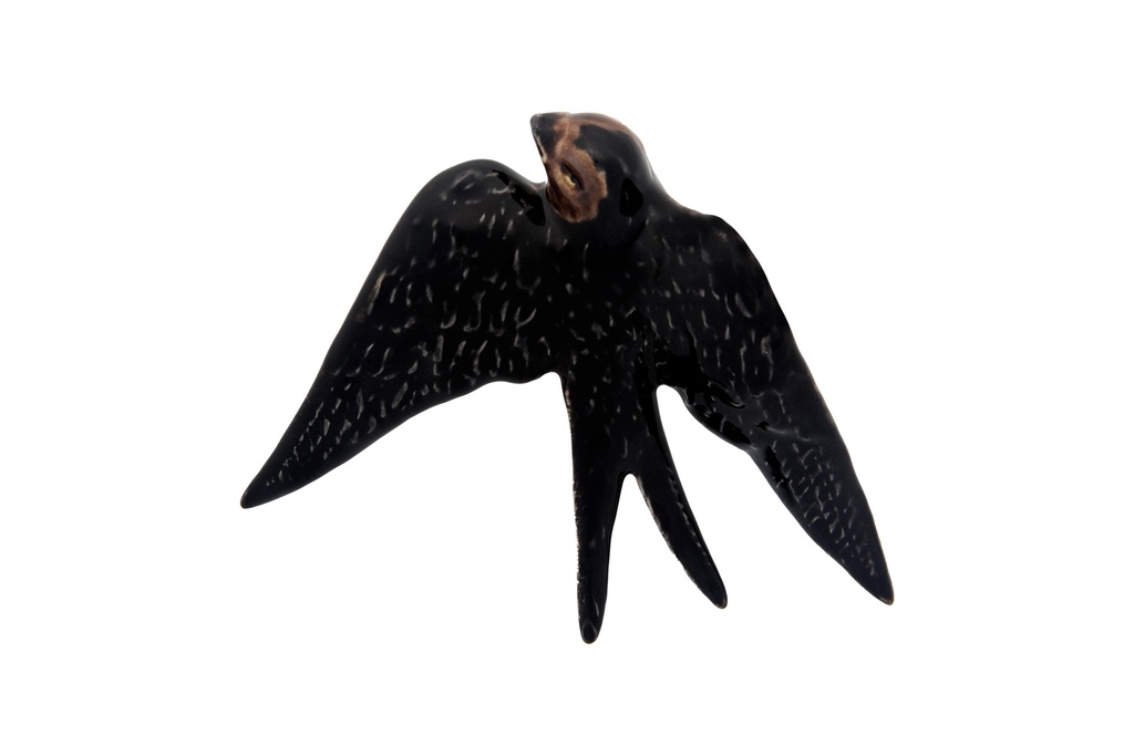 Hirondelle