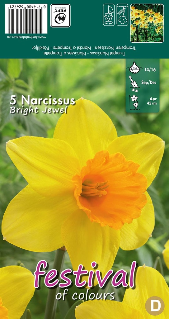 Narcissus 'Bright Jewel'