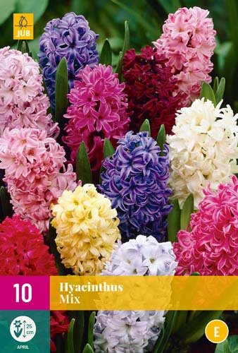 JACINTHES MIX