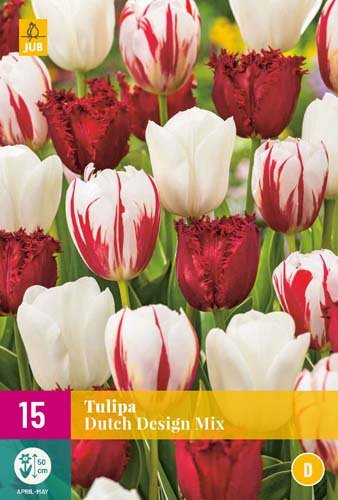TULIPE  DUTCH DESIGN MIX