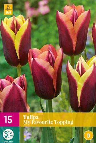 TULIPE MY FAVOURITE TOPPING