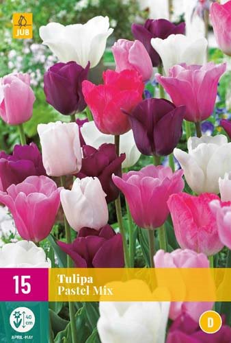 TULIPE PASTEL MIX