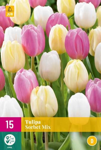 TULIPE SORBET MIX