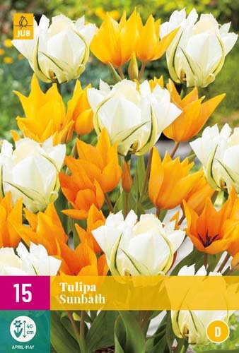 TULIPE SUNBATH