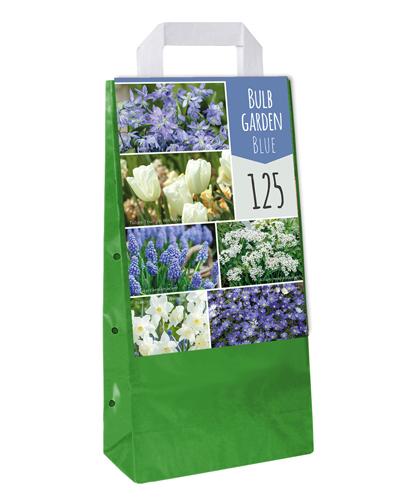 BULBE GARDEN BLUE
