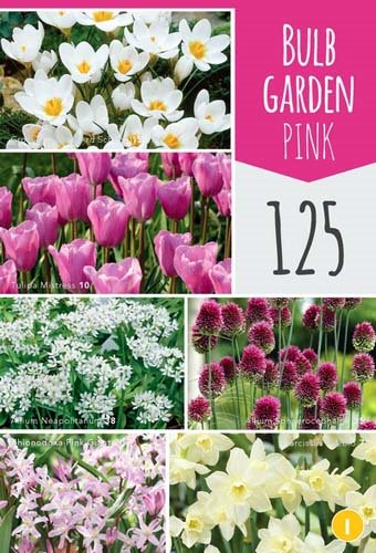 BULBE GARDEN PINK