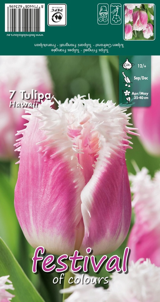 Tulipes 'Hawaii'