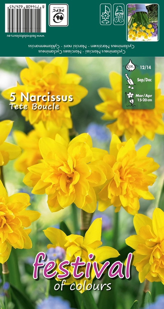Narcissus 'Tete Boucle'