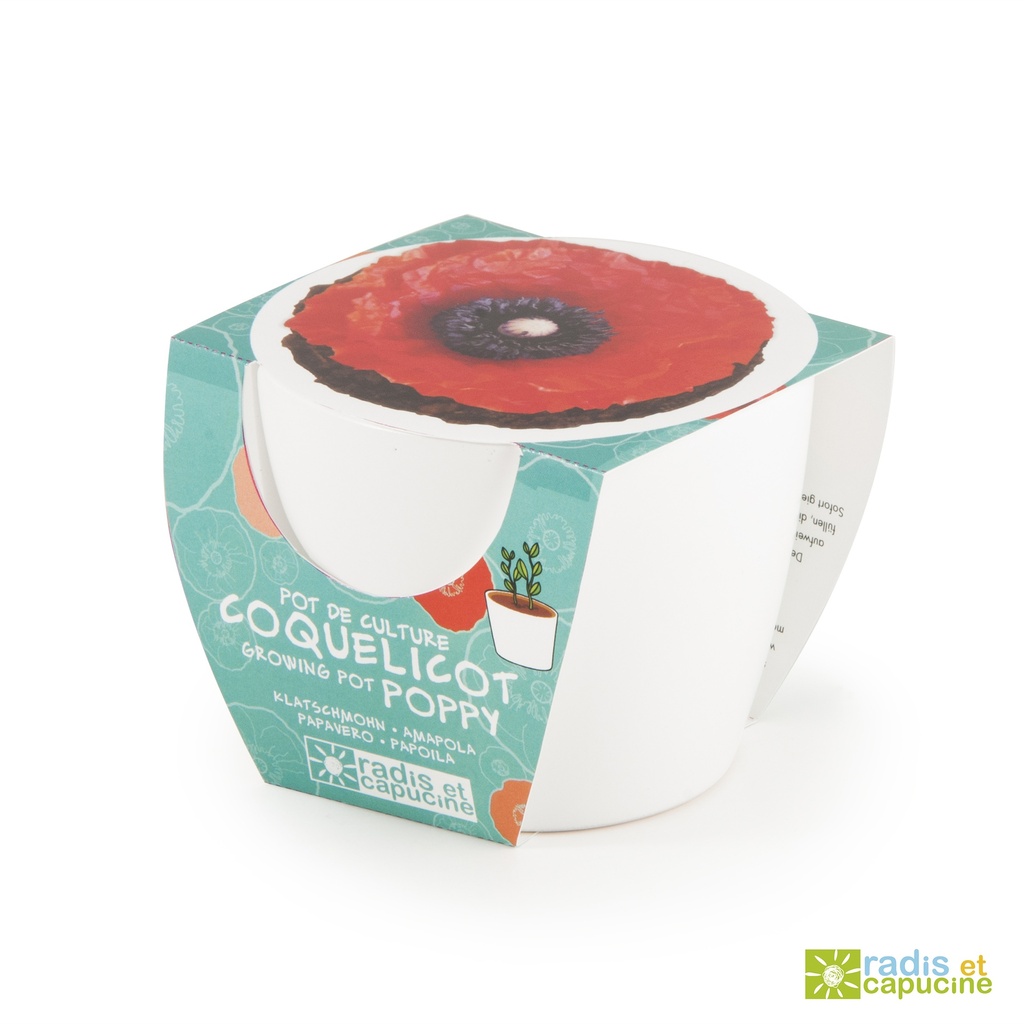 Pot blanc 8 cm Coquelicot