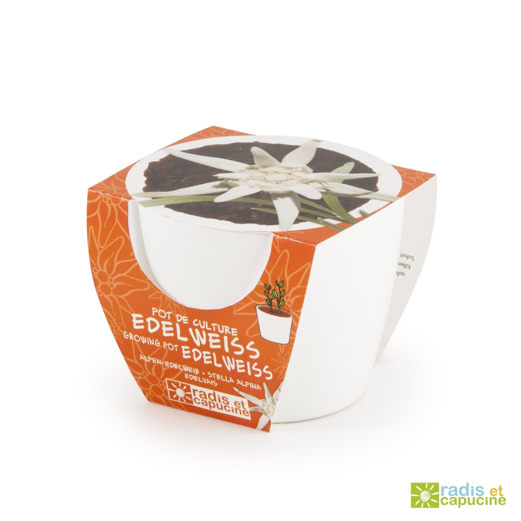 Pot blanc 8 cm Edelweiss