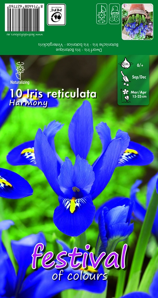 Iris Harmony