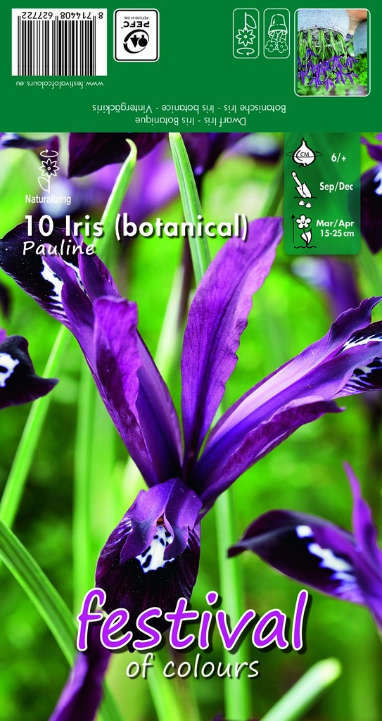 Iris Pauline