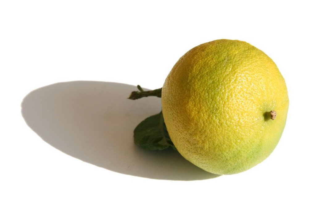 Citrus bergamia