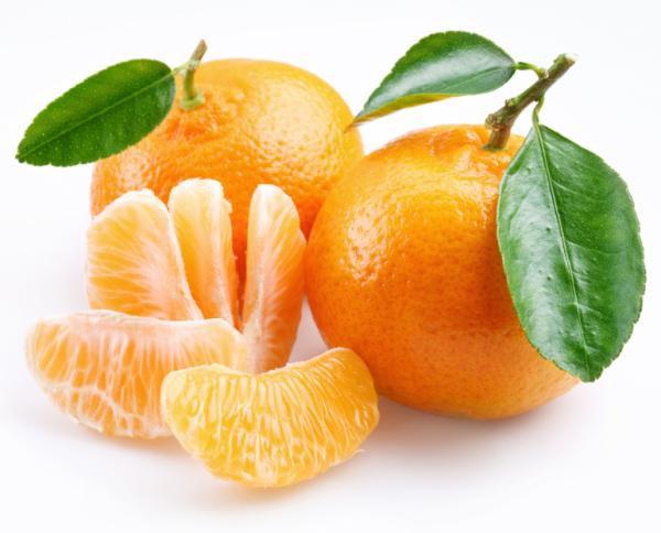 Citrus reticulata