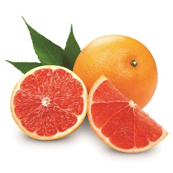 Citrus x paradisi