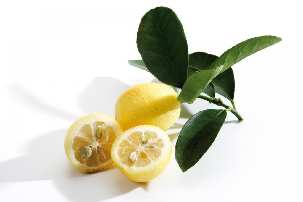 Citrus x floridana