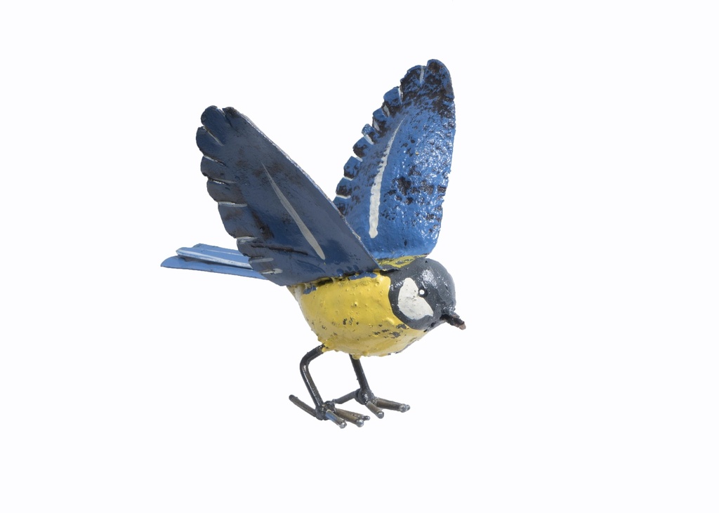 Mesange Ailes Ouvertes