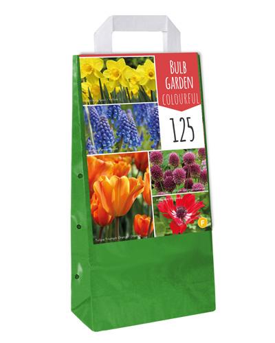 BULBE GARDEN COLOURFUL
