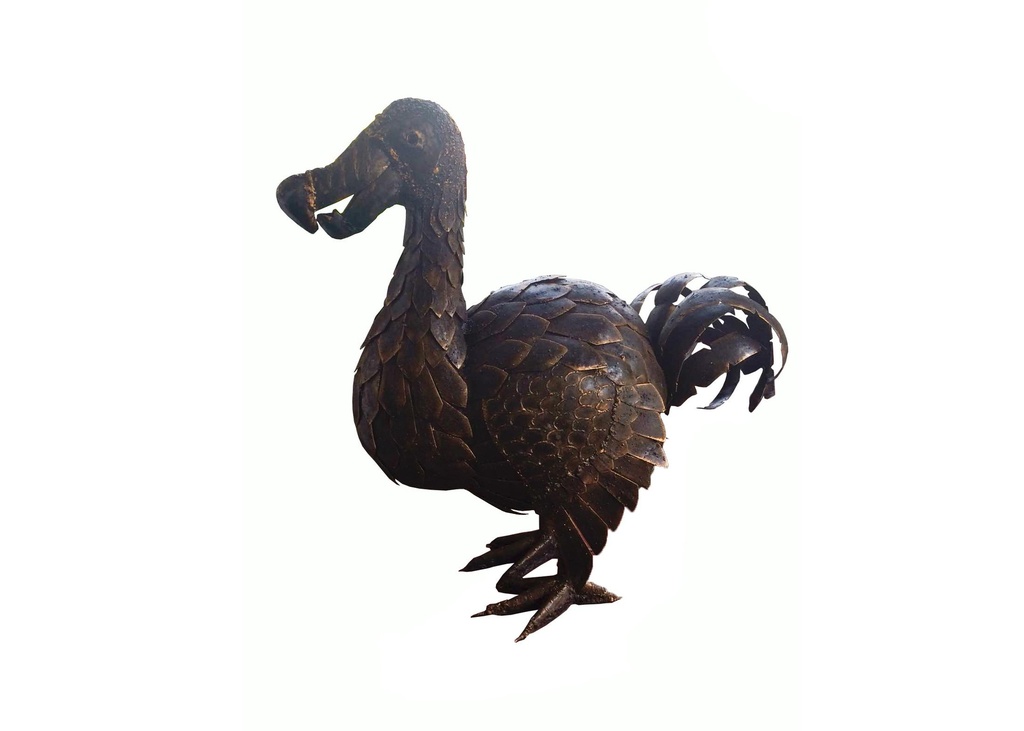 Dodo Le Retour
