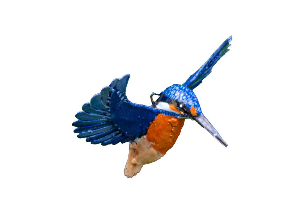 Martin Pêcheur En Vol