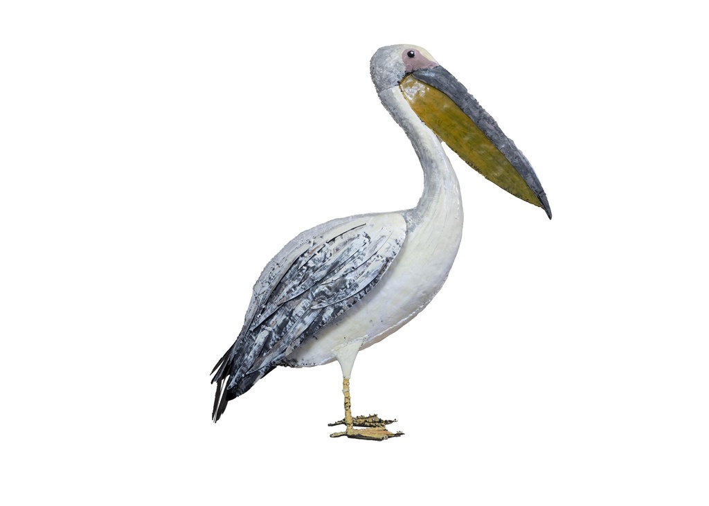 Pélican