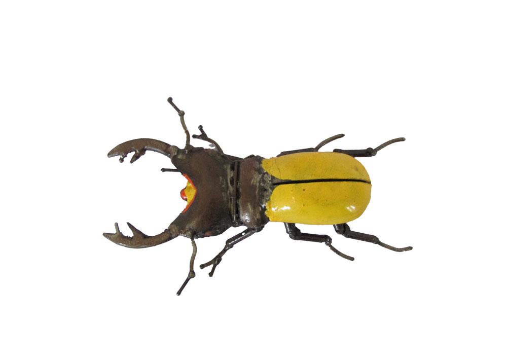 Lucane Jaune