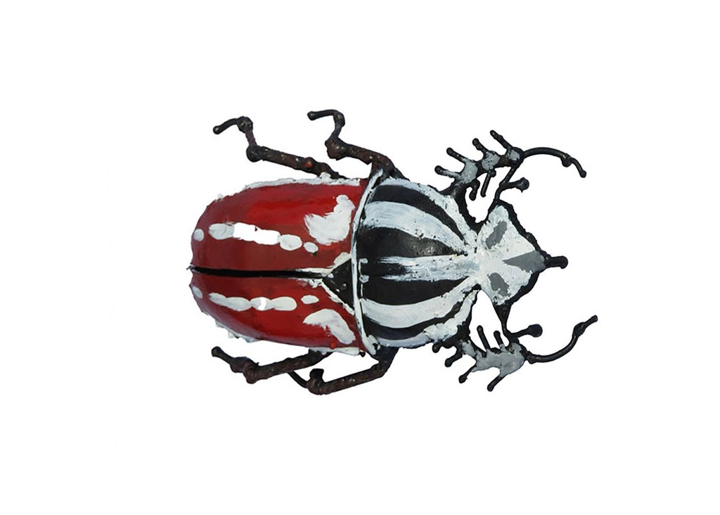 Scarabée Goliath