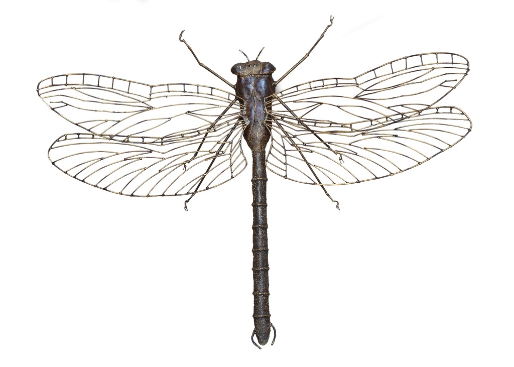 Libellule Geante