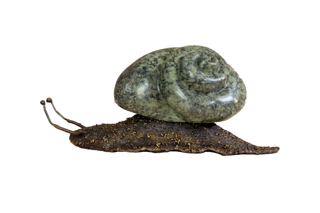 Escargot Droit