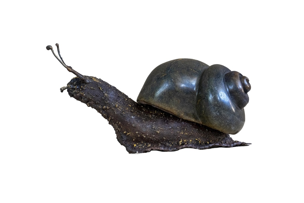 Escargot Tête En Haut