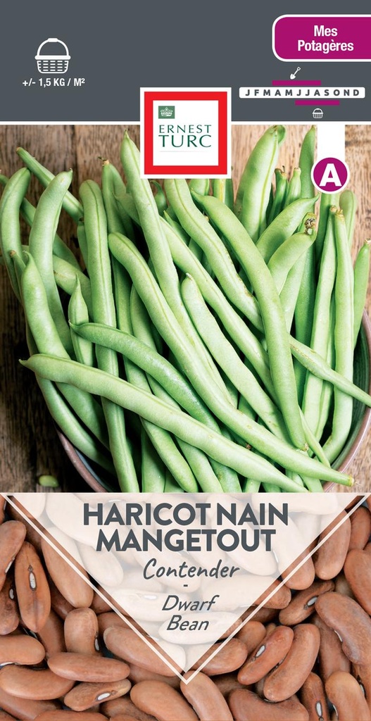 Haricot Nain MangeTout Contender