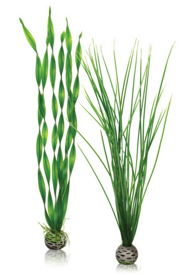 biOrb Set de plantes moyennes vertes