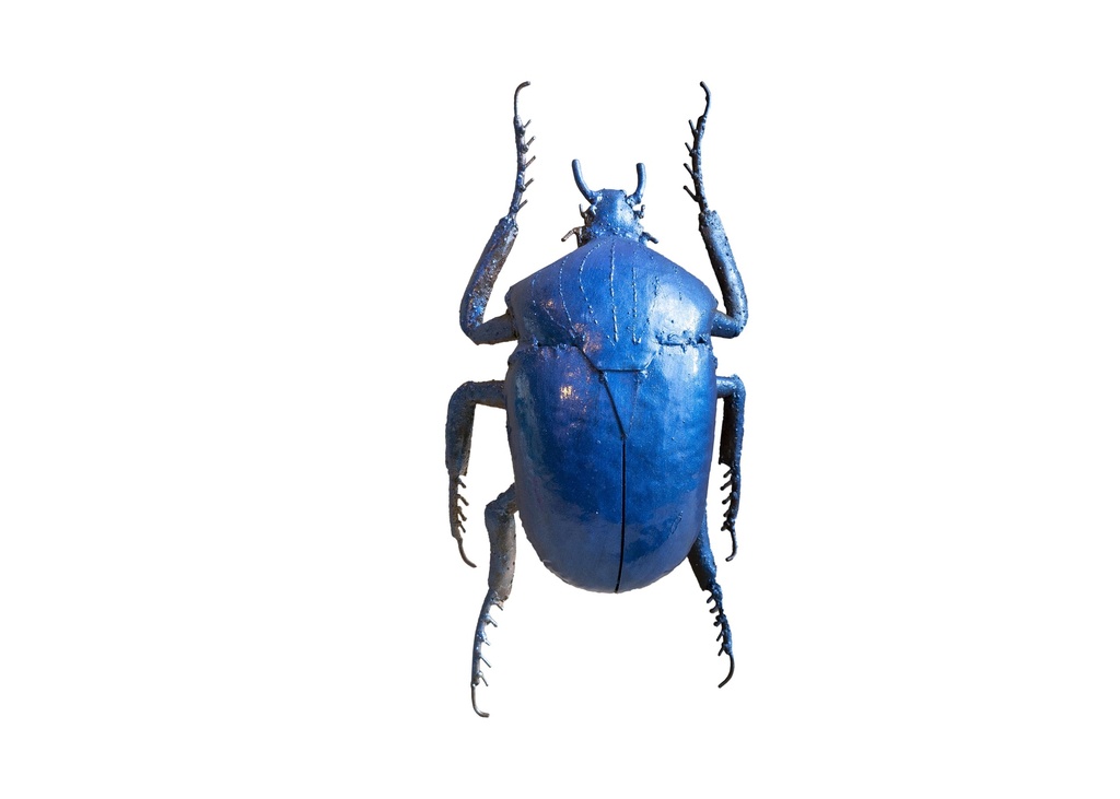 Scarabee Royal