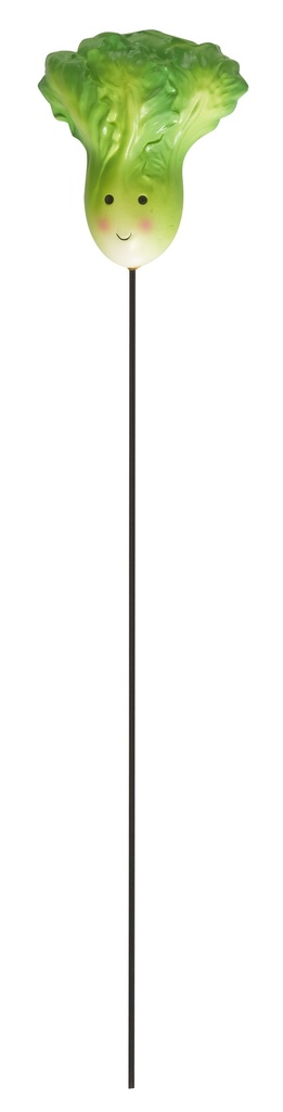 Pique Veggie - Oignon, Radis, Laitue